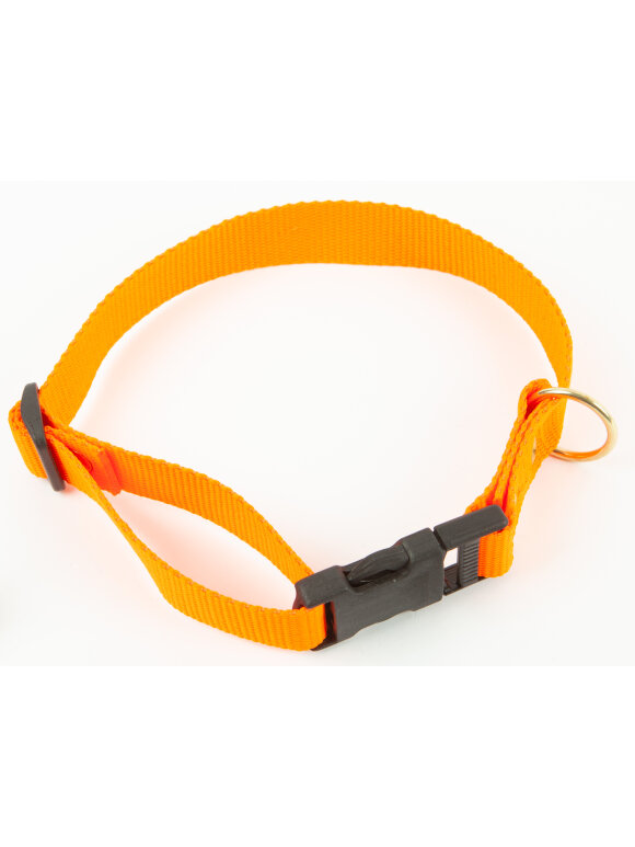 Hundeudstyr - BLF Hunting - Halsbånd Orange 45 cm