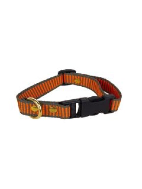 Hundeudstyr - BLF Hunting - Halsrem m. Webbing 40 cm