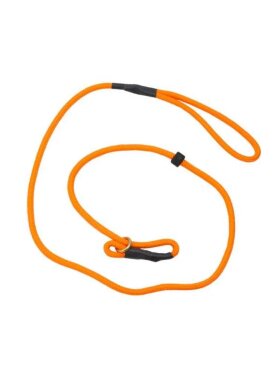 Hundeudstyr - BLF Hunting - Udstillingsline - ORANGE 125 cm