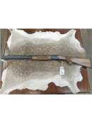 Sæsonens hits  - Fabarm - ELOS B2 NOTTE