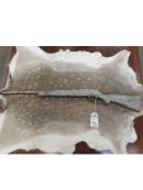 Rågeregulering - Savage - Savage 93 camo m. kal. 17 Hmr