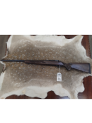 Brugte rifler - Tikka - T3 HUNTER